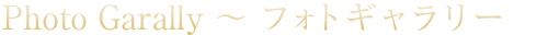 フォトギャラリー